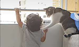 Cat Keeps Little Human Safe