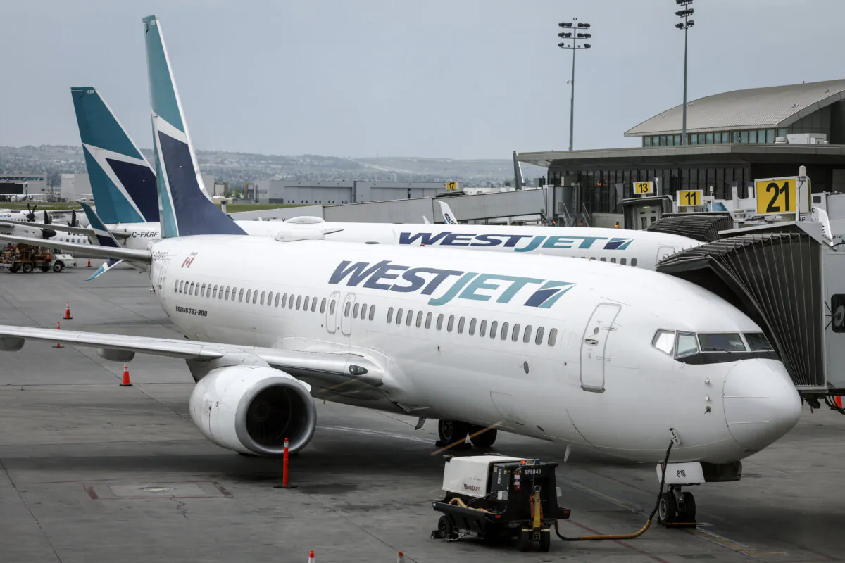 WestJet passenger jets are shown parked at departure gates at the Calgary International Airport on May 31, 2023. (The Canadian Press/Jeff McIntosh)