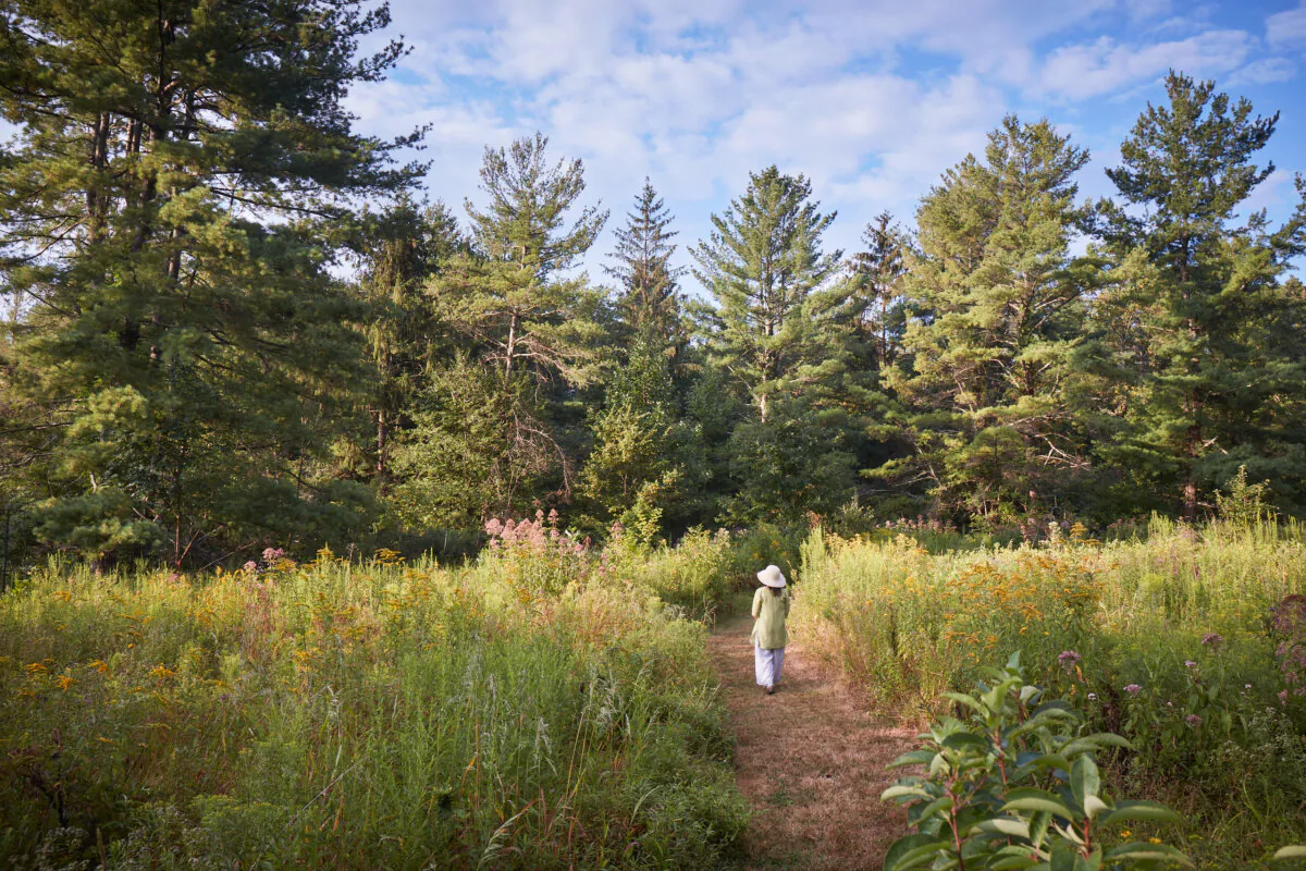 Tama Matsuoka Wong walks through the meadow outside her New Jersey home. Seeing herself as a steward of the land, she lightly manages the meadow to nurture native plants and discourage invasive ones.(Ngoc Minh Ngo)