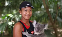 World’s Oldest Koala Sanctuary Ends ‘Koala Cuddling’ Experience
