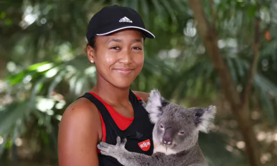 World’s Oldest Koala Sanctuary Ends ‘Koala Cuddling’ Experience
