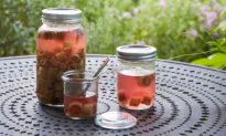 Japanese Knotweed Pickle and Soda
