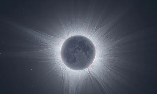 Man Flies From Portugal to Texas to Photograph Sun’s Iconic Aura During the Total Eclipse—The Results Are Magical