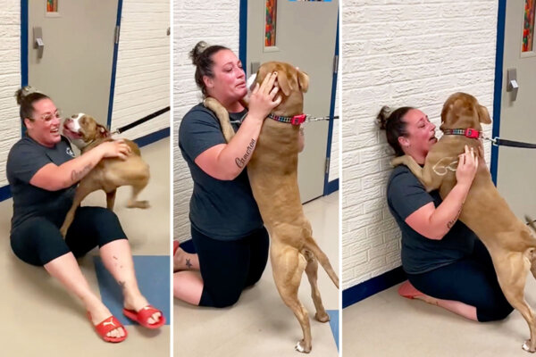 Heartwarming Video: Emotional Support Dog Reunites With Owner After Going Missing 2 Years Ago