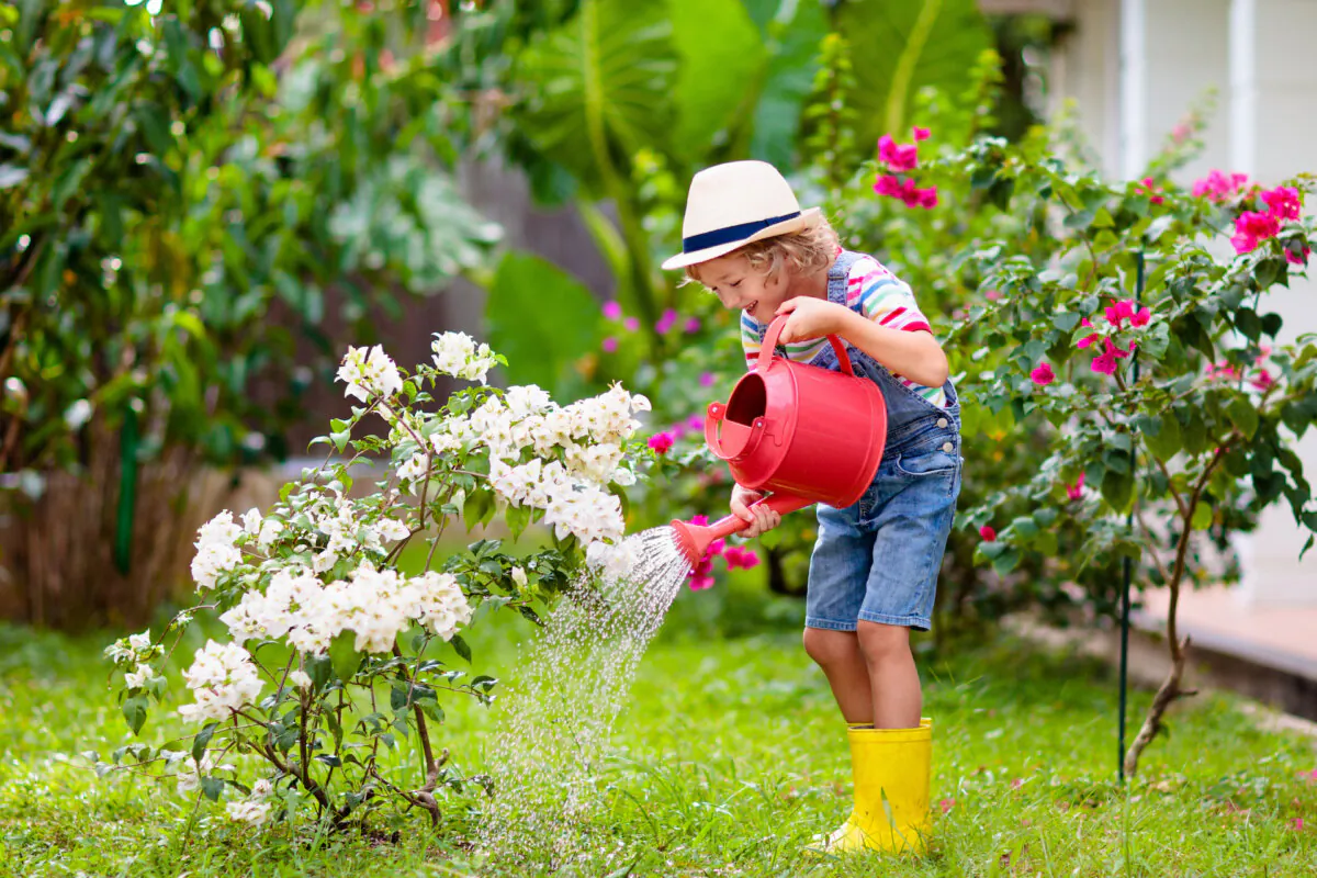 Watering deeply encourages the roots to grow deeper into the soil, where they are less likely to dry out. (FamVeld/Shutterstock)