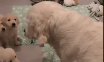 What a Great Mom She Is!