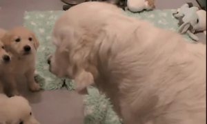 What a Great Mom She Is!
