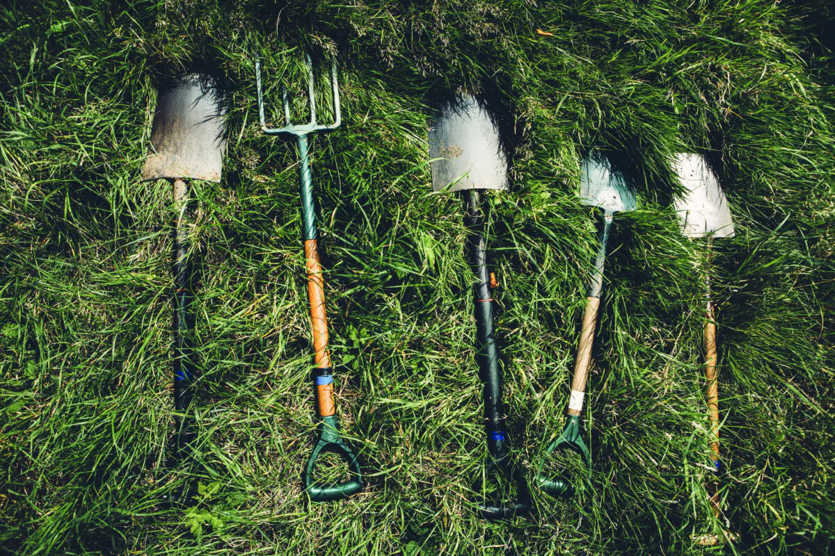 Go beyond the basics. (Unsplash)