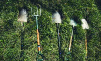 Upgrading the Gardener’s Toolkit: Must-Haves for Easier, More Efficient Gardening