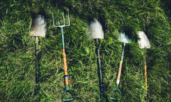 Upgrading the Gardener’s Toolkit: Must-Haves for Easier, More Efficient Gardening