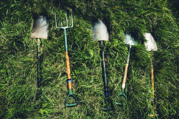 Upgrading the Gardener's Toolkit: Must-Haves for Easier, More Efficient Gardening