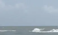 2 Hospitalized After Shark Attacks Disrupt Fourth of July in Texas