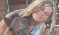 Horse Smiles While Being Pet