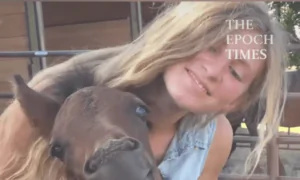 Horse Smiles While Being Pet
