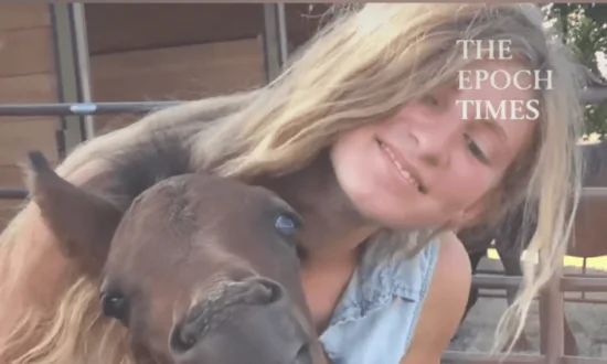 Horse Smiles While Being Pet