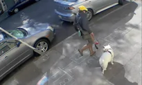 Woman Draws Hopscotch on Sidewalk to Beat Quarantine Blues