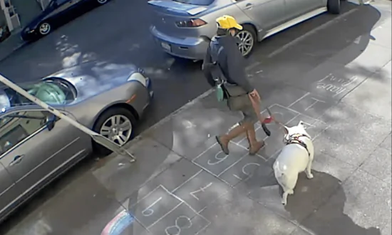 Woman Draws Hopscotch on Sidewalk to Beat Quarantine Blues