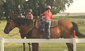 Innovative Little Girl Finds Her Way Back on Horse