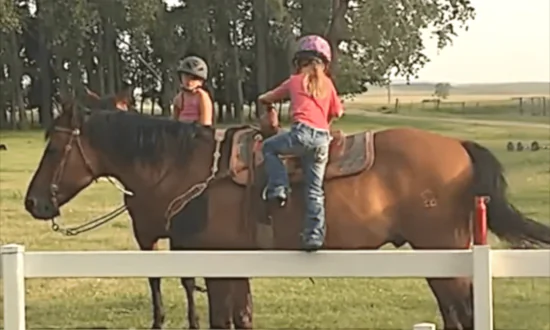 Innovative Little Girl Finds Her Way Back on Horse
