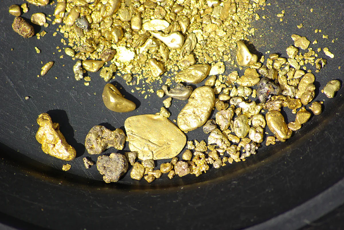 Gold nuggets, flakes and dust mined from the creeks and rivers of California, in a file photo. (Don Bendickson/Shutterstock)
