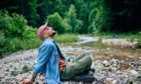 How I Fixed My Brain Fog