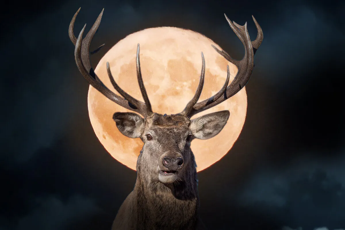 A full Buck Moon will rise on July 21.(Illustration by The Epoch Times, Getty Images, Shutterstock)