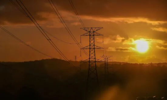 24,500 Residents Affected by ‘Dangerous’ Blackout in NSW, Electricity Supply Reduced