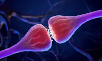 New Study Sheds Light on Why Some Memories Last a Lifetime