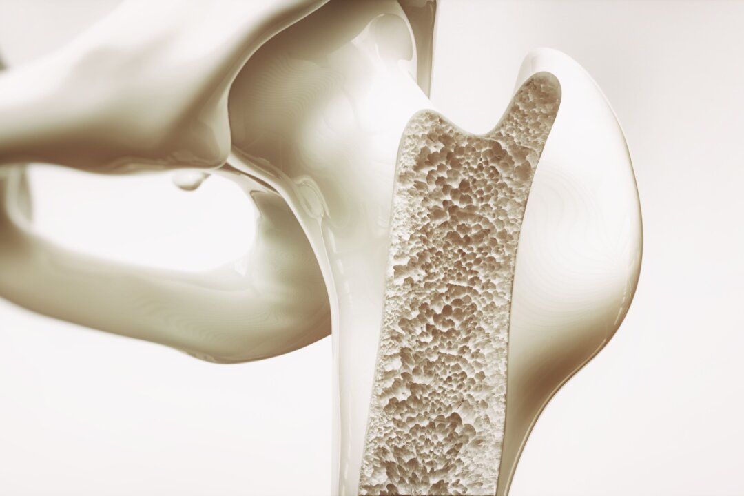 New Hormone Discovery Unlocks Hope for Osteoporosis Treatment