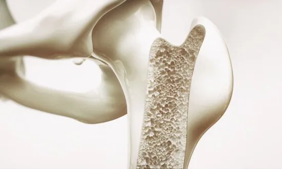 New Hormone Discovery Offers Hope for Osteoporosis Treatment