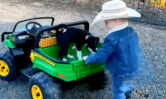 Cowboy Kid Drives Mini Truck With His Dog
