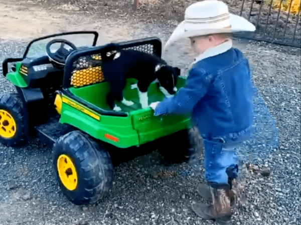 Cowboy Kid Drives Mini Truck With His Dog