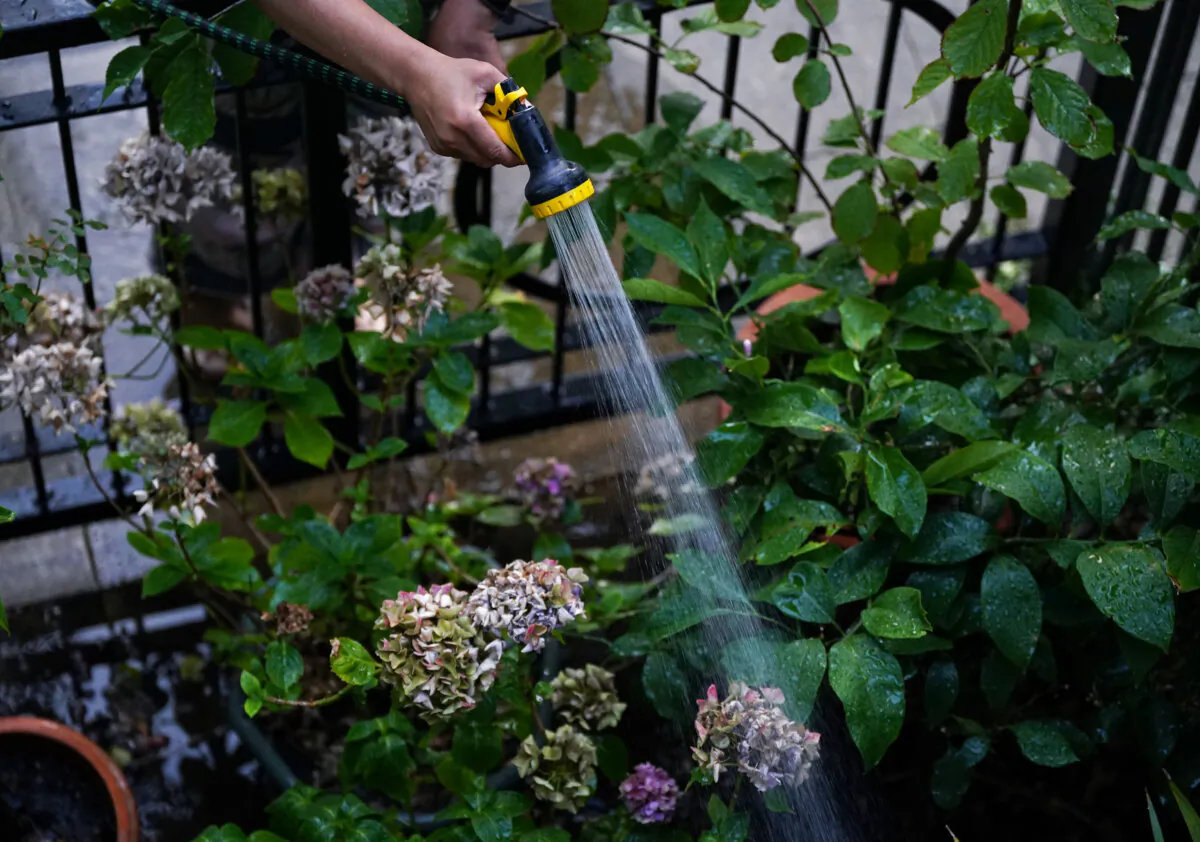 A woman watering her front garden in Kent on Aug. 23, 2022. (Yui Mok/PA)
