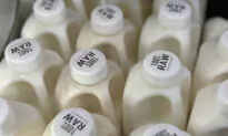 Dozens Sickened With Salmonella After Drinking Raw Milk From California Farm