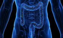 Survivability After Organ Transplant May Depend on Gut Microbiome: Study