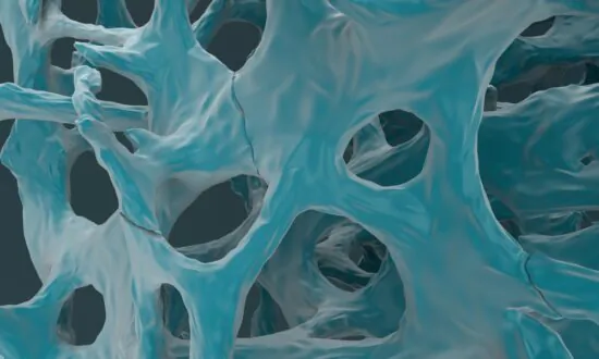 Ancient Remedies and Effective Home Exercises for Improving Osteoporosis