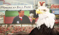 Bald Eagle Flew in Baseball Stadiums to US Anthem for 20 Years—Now Sam the Eagle Bids Farewell