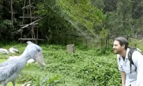 Man Uses Non-Verbal Communication With Bird