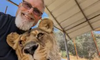 Big Cat Park in California Elevates Message of Conservation Through Education