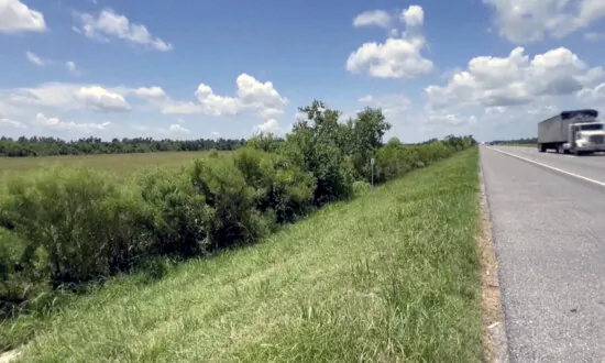 Trucker Describes Finding ‘Miracle Baby’ by Side of Highway in Louisiana