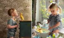 Adorable 3-Year-Old Cares for Her Ducklings Like Their Mother—Her Unconditional Love is Heartwarming