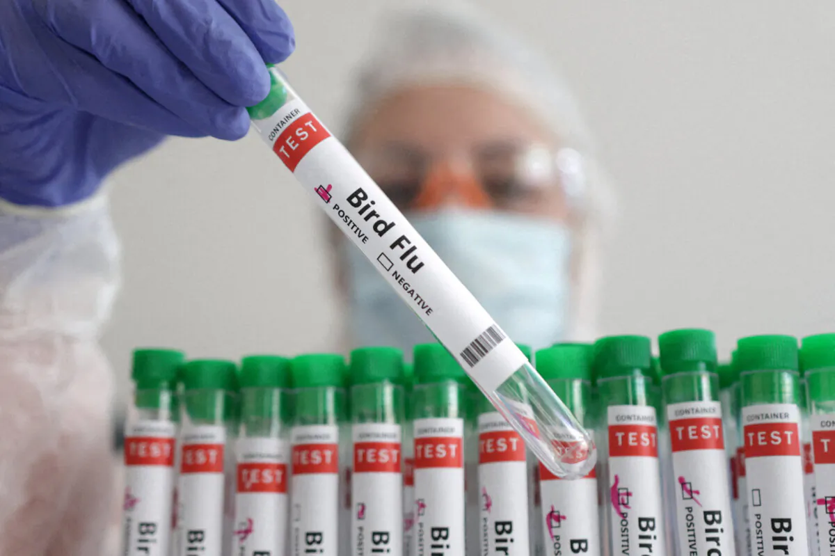 A person holds a test tube labelled "Bird Flu", in this picture illustration, on January 14, 2023. (REUTERS/Dado Ruvic/Illustration/File Photo)