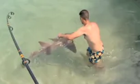 Fishing Line Wraps Around Shark’s Head