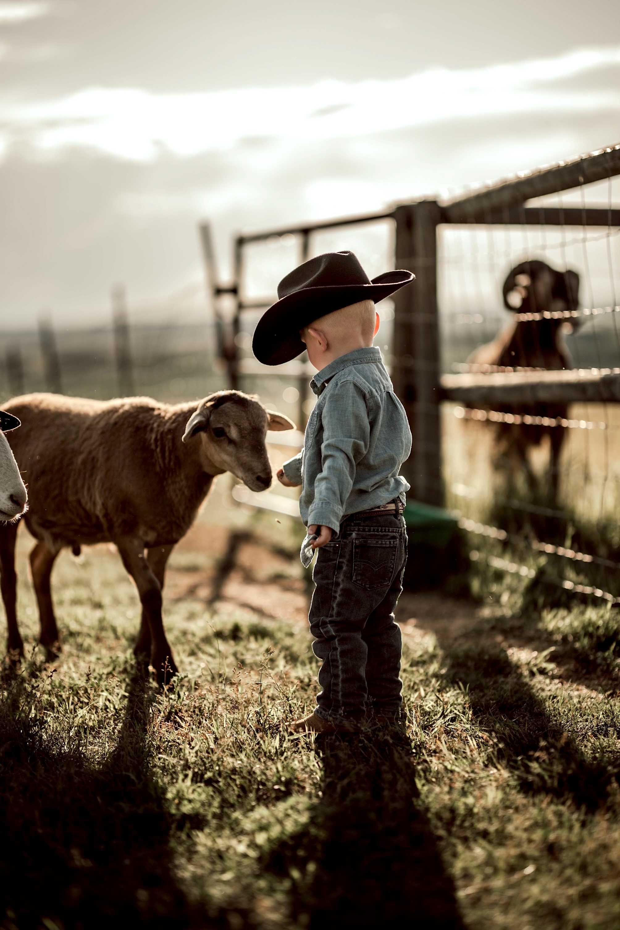 Jack helping out at the farm.