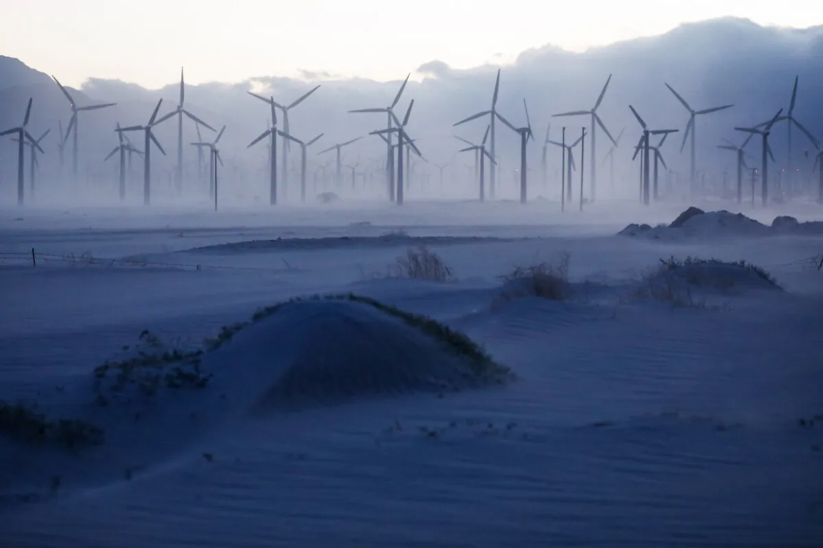 A wind farm operates in the Coachella Valley in Palm Springs, Calif., on May 7, 2019. (Mario Tama/Getty Images)