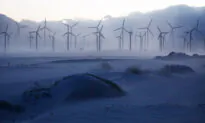 Democrat-Led States Sue Trump Admin Over Wind Energy Project Freeze