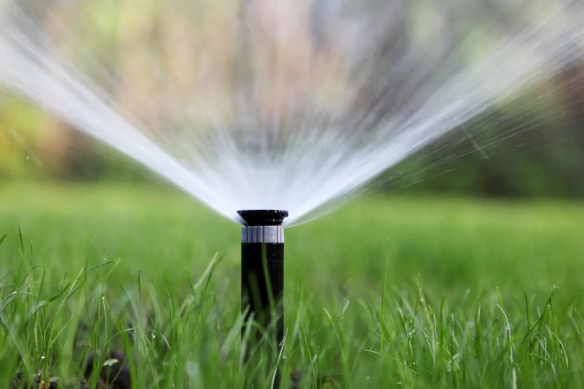 Smart irrigation systems can help save water. (Nenov Brothers Images/Shutterstock)