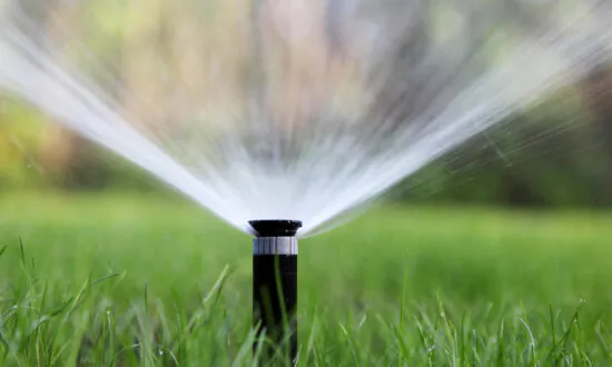 Smart Irrigation Controller