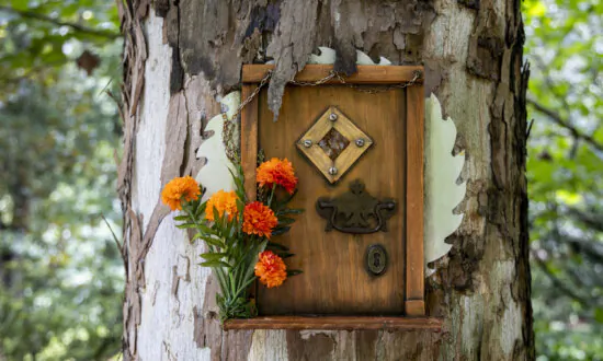 Fairy Doors Make Magical Return to Orlando’s Leu Gardens for 6th Year