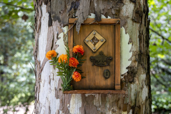 Fairy Doors Make Magical Return to Orlando's Leu Gardens for 6th Year